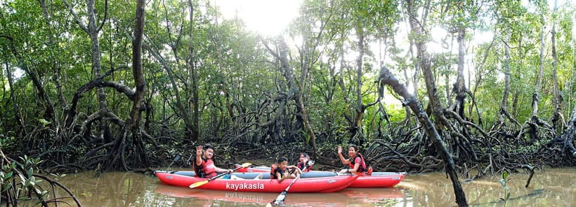 From Tagbilaran City/Panglao Island: Bohol Mangrove Kayaking - From pickup in Bohol to the river station