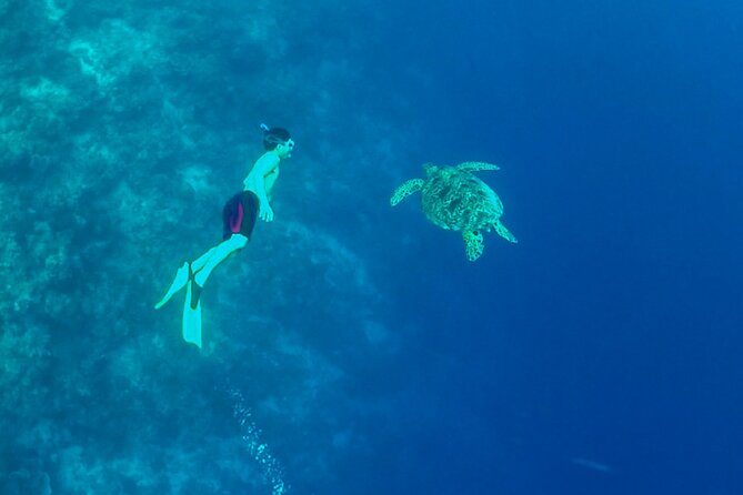 Full-Day Moalboal Islands and Kawasan Falls Small-Group Tour from Cebu - The 5:00 am start and the long road south