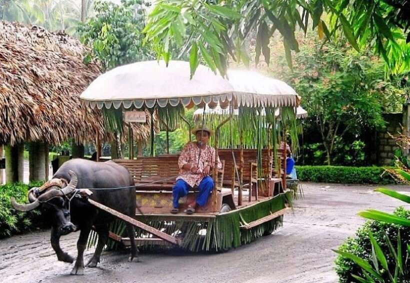 Full Day Tour Villa Escudero Plantation - Inside the Escudero family museum