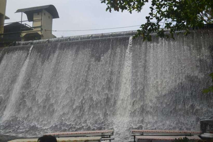 Full Day Tour Villa Escudero Plantation - The guide, vehicle, and pace