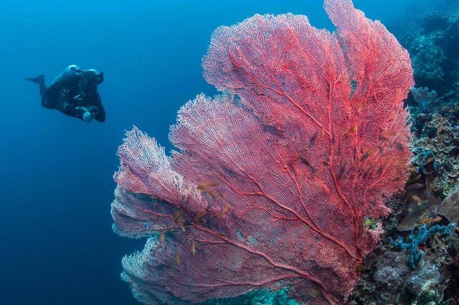 Fun Boat Dive for certified diver - The short boat ride to Mactan’s underwater sites