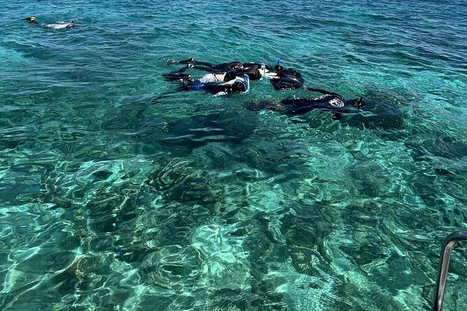 Half day tour with Snorkel at Sancturary and Sulpa island - Snorkeling near the marine sanctuary