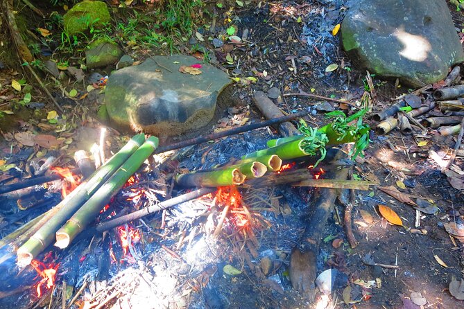 indigenous Forest experience Manila 2023 - Entering the Pamulaklakin Forest Trail