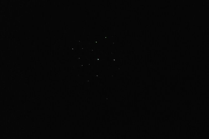 Joiners Firefly Watching Tour - Watching fireflies along the river
