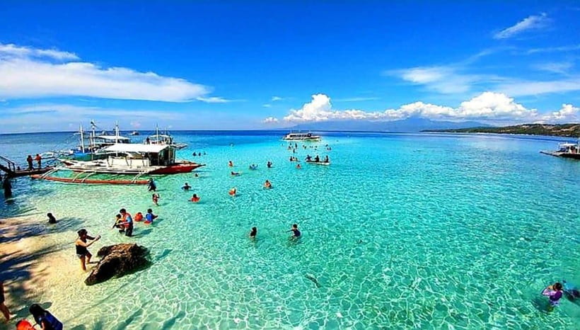Mactan Island Hopping Gilutungan, Caohagan, Nalusuan + Lunch - Gilutungan Marine Sanctuary: the best reason to go