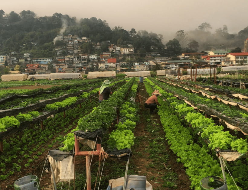 Manila: 3-Day Sagada, Baguio, & Banaue Rice Terraces Tour - Accommodation and the cost of convenience