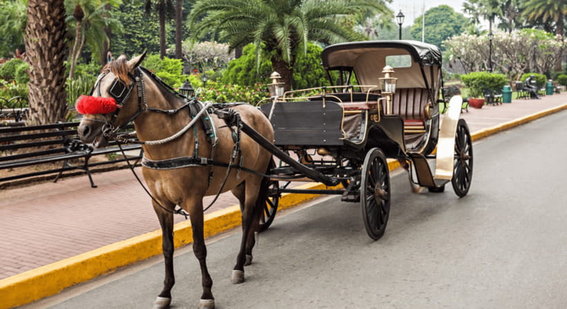 MANILA: HISTORICAL KALESA RIDE TOUR EXPERIENCE IN INTRAMUROS - Plaza Roma and Manila Cathedral