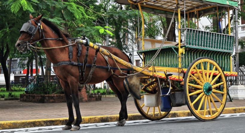MANILA: HISTORICAL KALESA RIDE TOUR EXPERIENCE IN INTRAMUROS - Fort Santiago: the tour’s strongest opening