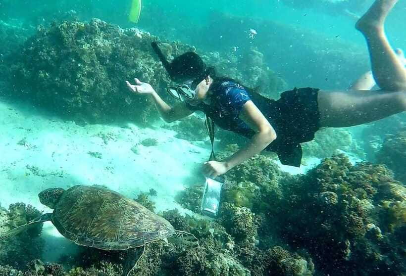 Moalboal: Pescador Island Hopping Adventure and Sardine Run - Lunch and the shape of the full day