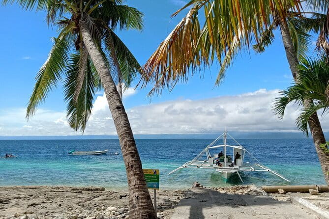 Moalboal Sardine Run, Sea Turtle and Mantayupan Falls - Finding sea turtles without chasing them