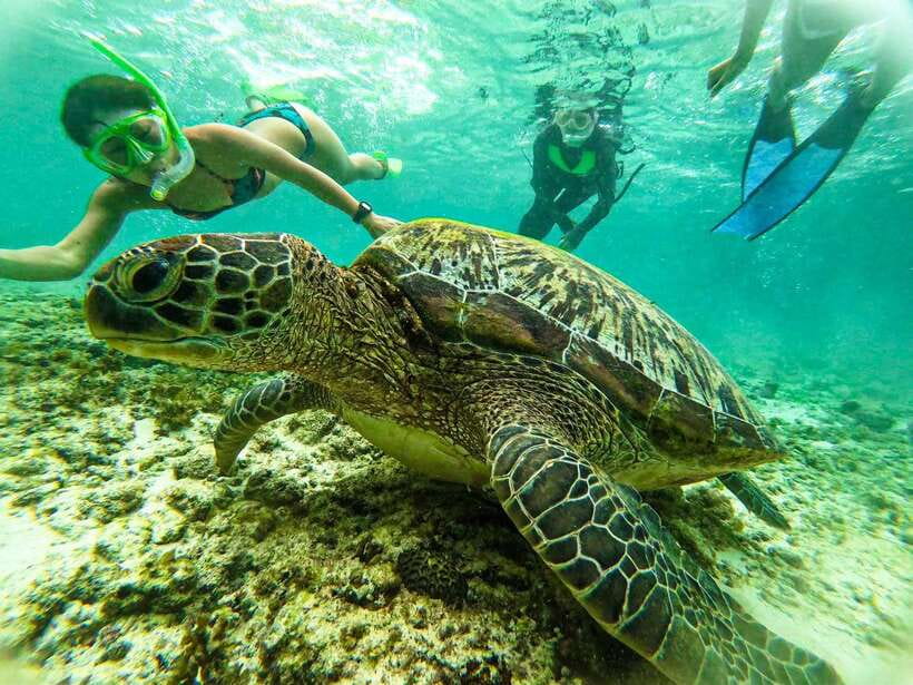 Moalboal Sardine Run, Sea Turtle & Mantayupan Falls - Food, free time, and the long ride home