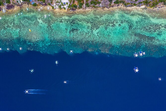 Moalboal Sardines Run Private Tour w/ Transfers Option - The best timing for turtles and calmer planning