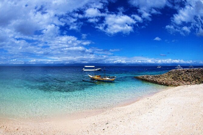 Moalboal Sardines Run Private Tour w/ Transfers Option - Who will enjoy this one-hour outing