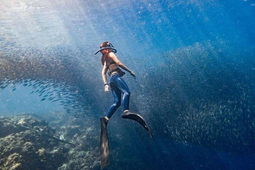 Moalboal: Scuba Diving and Pescador Island Hopping - Two sessions with professional supervision