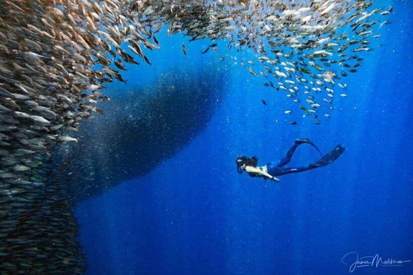 Moalboal: Scuba Diving and Pescador Island Hopping - What to bring and what to leave behind