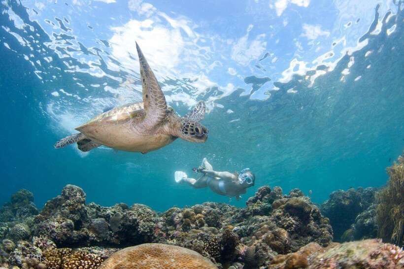 Moalboal: Scuba Diving and Pescador Island Hopping - Reaching Pescador Island by boat