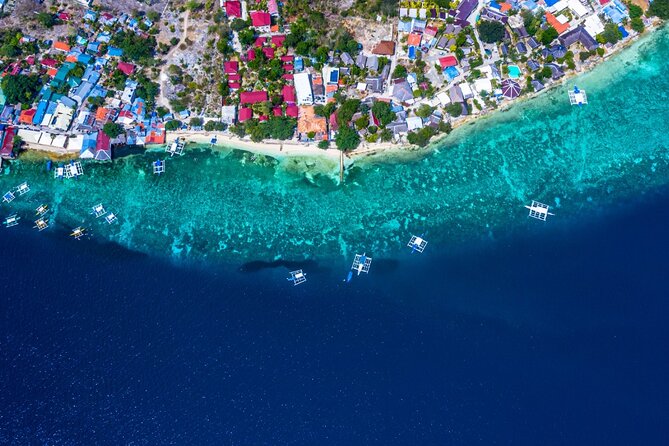 Oslob Whale Shark Private Tour with Sumilon & Tumalog Falls - Who will get the most from this experience