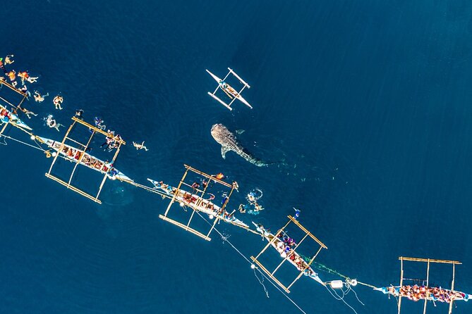 Oslob Whale Shark Private Tour with Sumilon & Tumalog Falls - Sumilon Island gives the middle of the day some breathing room