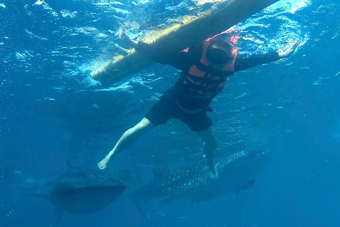 Oslob Whale Shark Snorkeling & Kawasan Canyoning Tour - Why This Day Takes 15 Hours