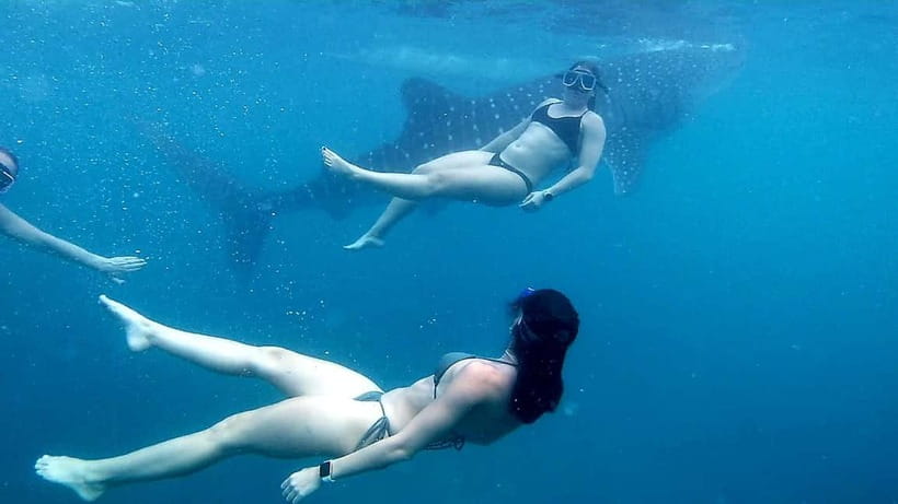 Oslob: Whale Shark Tour with Sumilon & Moalboal Snorkeling - Lunch near Badian before the Moalboal water time
