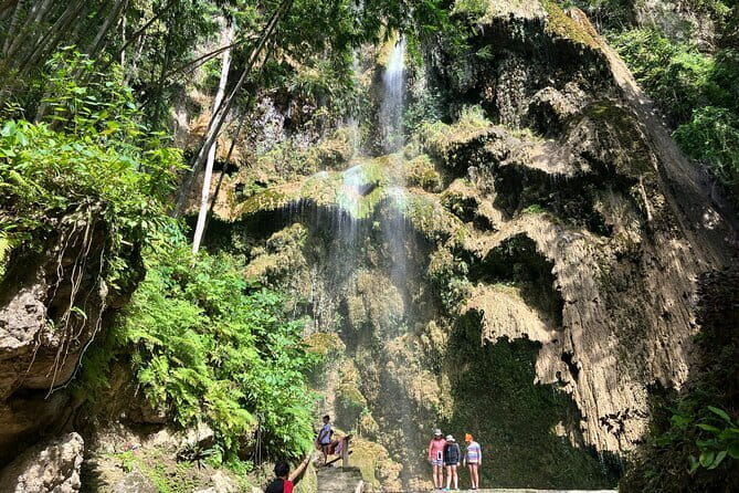 Oslob Whale Shark & Tumalog Waterfalls & Sumilon Sandbar - Why This Cebu Day Tour Works