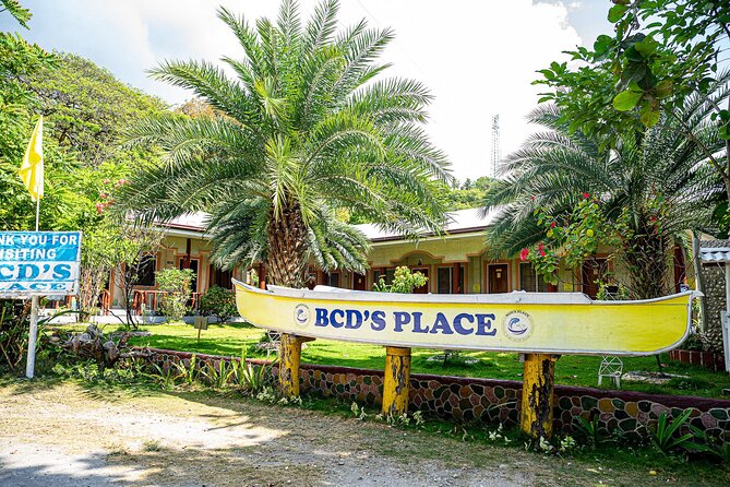 Oslob Whale Sharks and Moalboal Sardine Run, Sea Turtles Tour - Why the 3:00 a.m. pickup matters