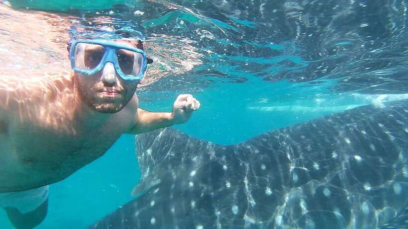 Oslob: Whale Sharks, Inambakan Falls & Moalboal Sardines - Why this Cebu day trip works