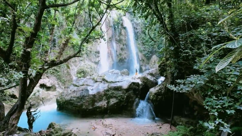 Oslob: Whale Sharks, Inambakan Falls & Moalboal Sardines - Guides, drivers, and the human side of the day