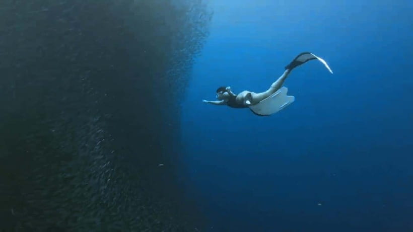 Oslob: Whale Sharks, Inambakan Falls & Moalboal Sardines - Who should book this tour?