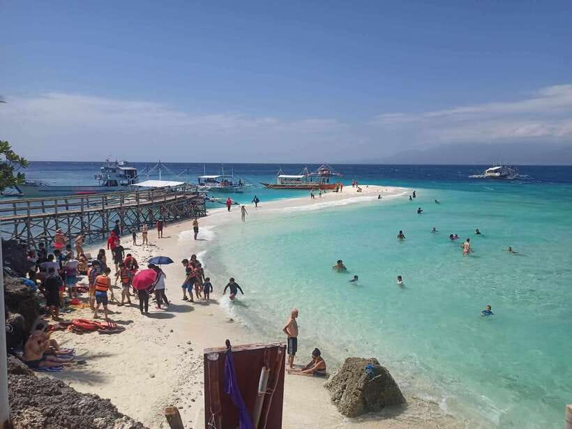 Oslob: Whale Sharks, Tumalog Falls & Sumilon Trio Adventure - Key points to know before booking