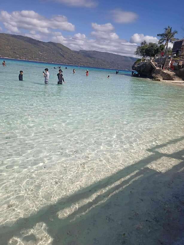 Oslob: Whale Sharks, Tumalog Falls & Sumilon Trio Adventure - Meeting Oslob’s whale sharks