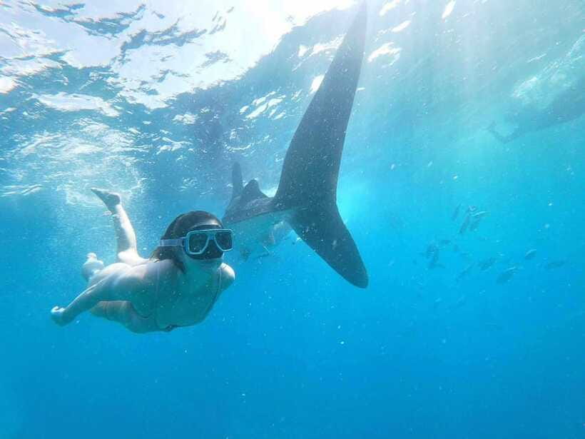 Oslob: Whale Sharks, Tumalog Falls & Sumilon Trio Adventure - Sumilon Island and its famous sandbar