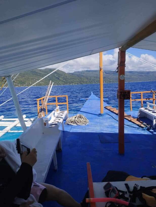 Oslob: Whale Sharks, Tumalog Falls & Sumilon Trio Adventure - The early road to Oslob
