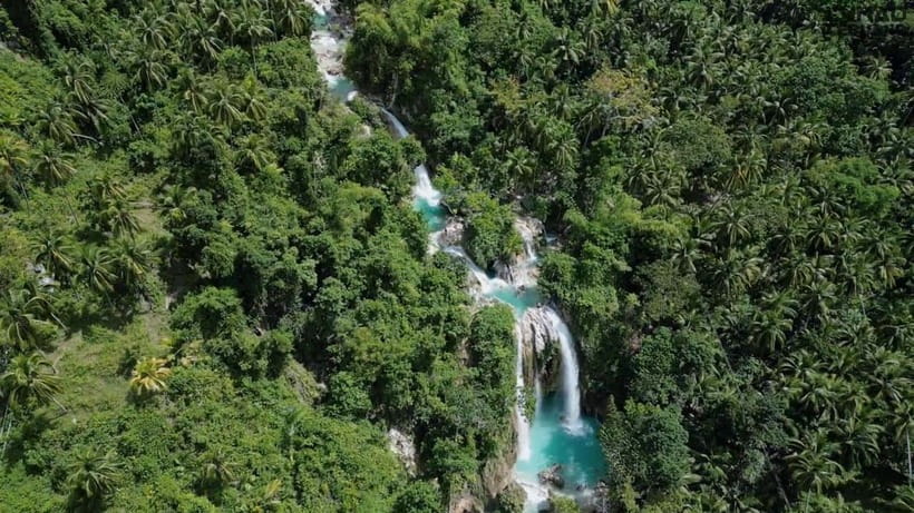 Oslob: Whaleshark Swimming, Inambakan Falls & Moalboal Tour - My verdict: book it for the marine life