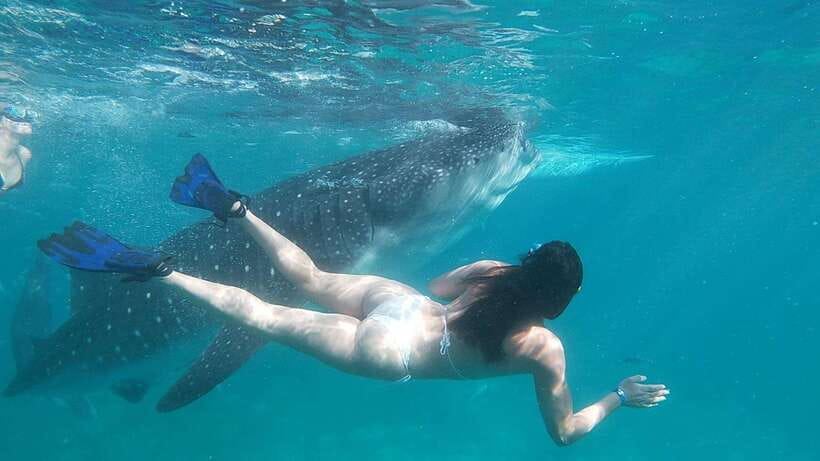 Oslob: Whaleshark Swimming, Tumalog Falls & Sumilon Island - Crossing to Sumilon Island for sand and snorkeling