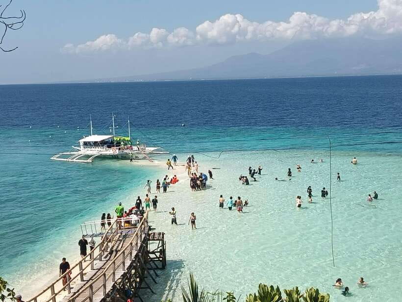 Oslob: Whaleshark Watching, Sumilon Island & Monkey Viewing - The early drive to Oslob