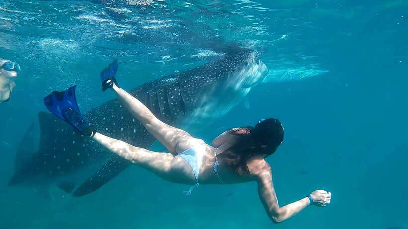 Oslob: Whaleshark Watching, Tumalog Falls & Sumilon Island - Sumilon Island’s sandbar and clear water