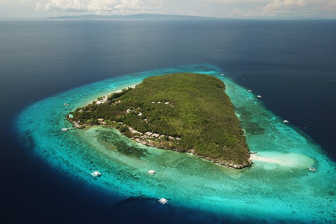 Oslob Whaleshark with Sumilon Island - Who Should Book This Experience?