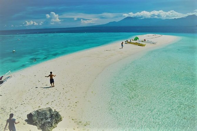 Oslob Whaleshark with Sumilon Island - Oslob Whale Sharks: The Main Event