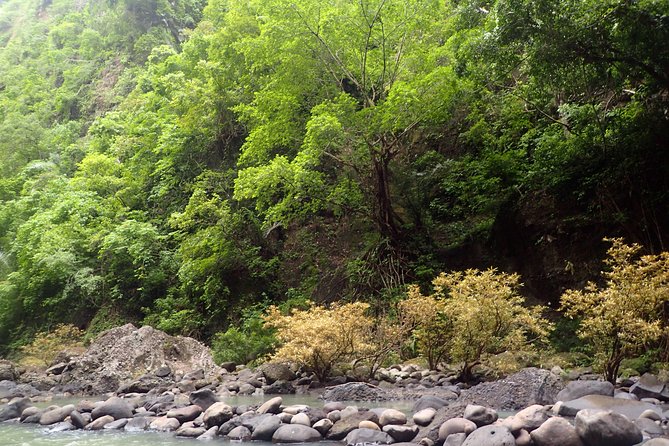 Pagsanjan Falls-Taal Volcano-Tagaytay ultimate Day Tour frm MNL - Tagaytay gives the day a cooler break