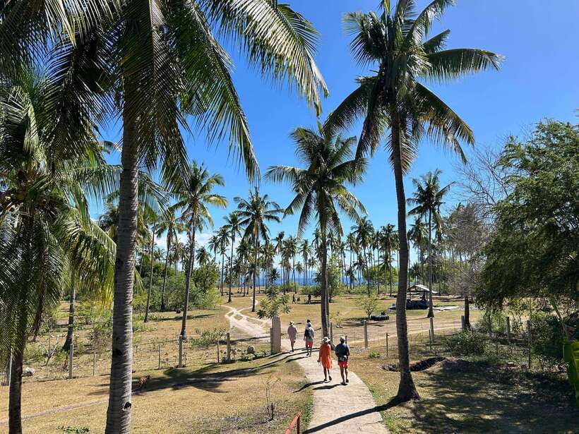 Pamilacan island: Dolphins, snorkel, lunch and walking tour - A barefoot Boholano lunch beside the sea