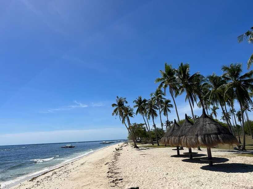 Pamilacan island: Dolphins, snorkel, lunch and walking tour - Practical details that make the day easier