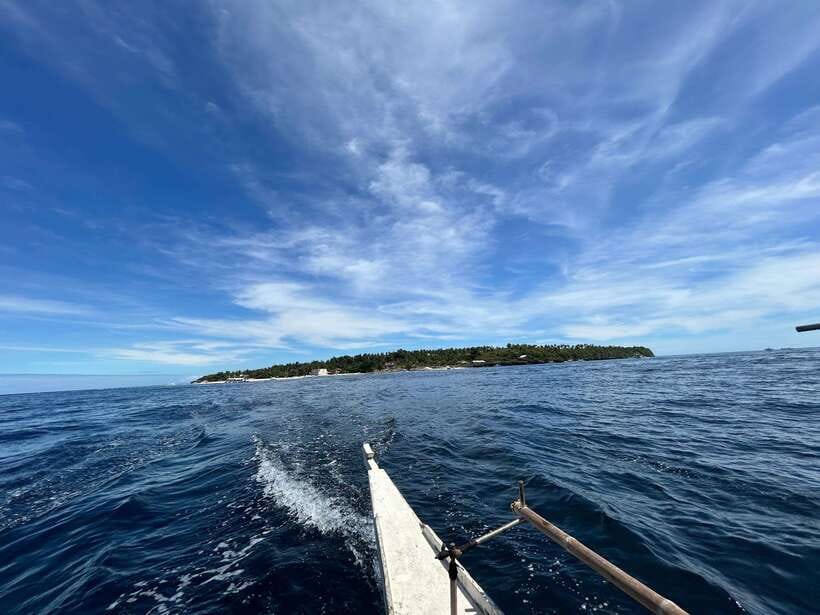 Pamilacan island: Dolphins, snorkel, lunch and walking tour - Dolphin watching in the Bohol Sea
