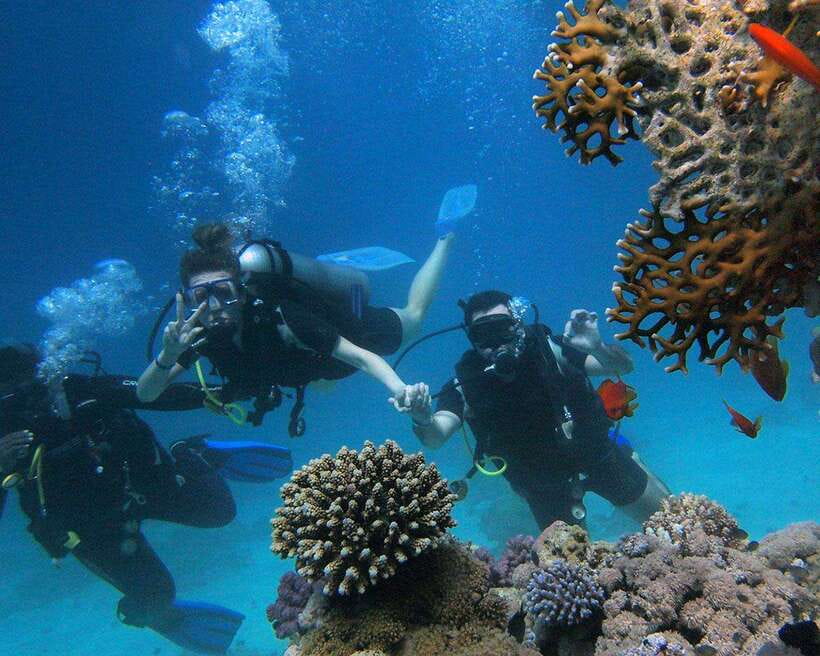 Panglao Bohol: Try Scuba Diving at Napaling and Sardines - Training for non-swimmers and beginners