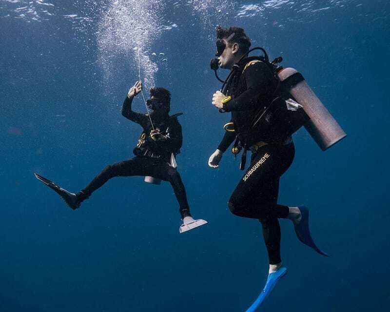 Panglao Bohol: Try Scuba Diving at Napaling and Sardines - The reef photo stop