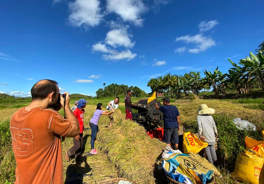 Panglao: Dao, Forests, and Tarsier Sanctuary Tour with Lunch - Meeting the tarsier in Corella