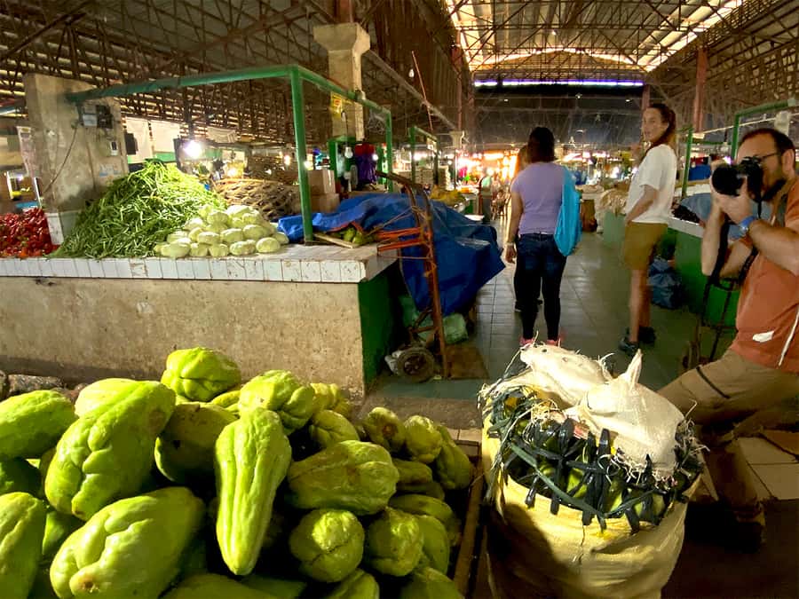 Panglao: Dao, Forests, and Tarsier Sanctuary Tour with Lunch - Walking through Bilar’s countryside