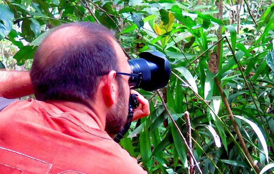 Panglao: Dao, Forests, and Tarsier Sanctuary Tour with Lunch - Finishing with a waterfall swim