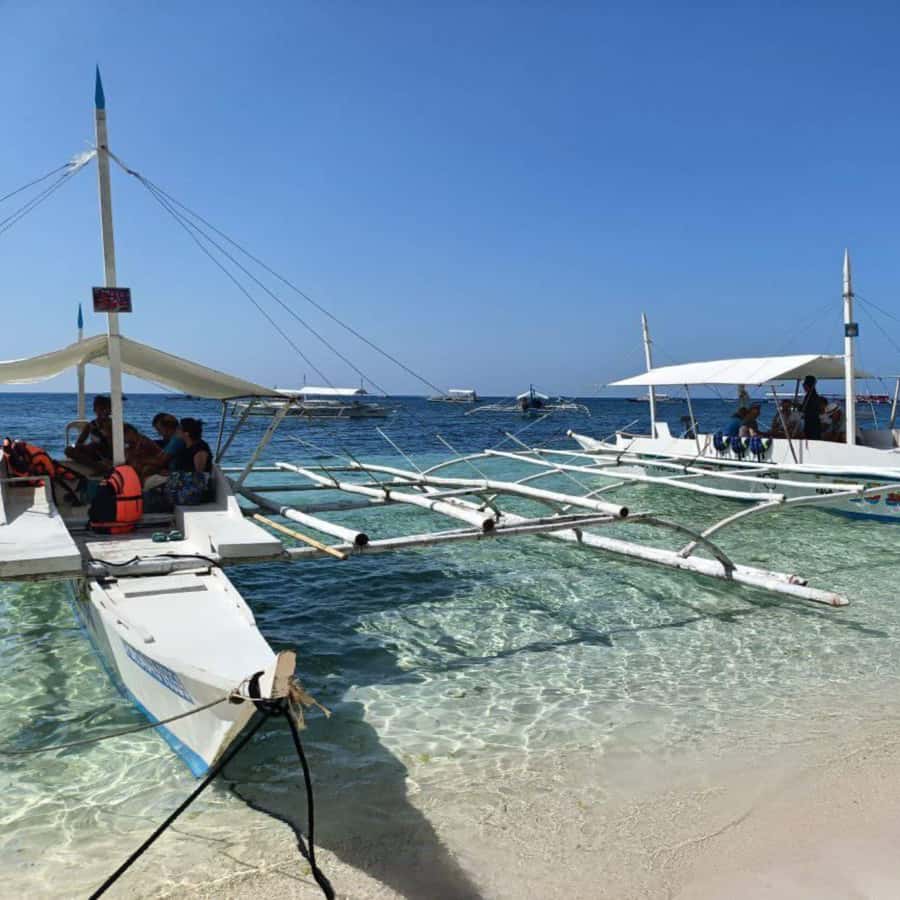 Panglao: Island Hopping w/Balicasag (Shared) - Why this five-hour trip works for a short Panglao stay