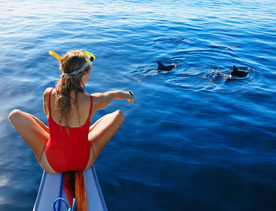 Panglao: Island Hopping w/Balicasag (Shared) - What the shared boat means for you